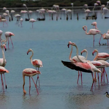 Gorinoapartment * Gorino Ferrarese