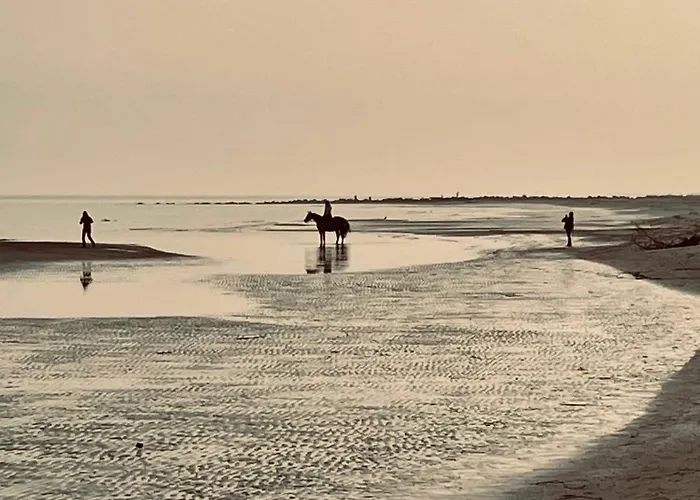 Apartmán Gorinoapartment *